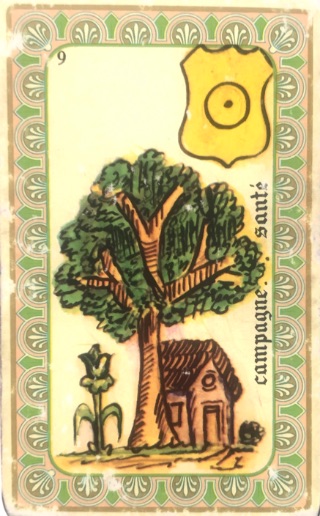 Campo y Salud belline